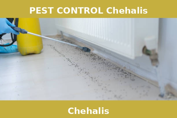 PEST CONTROL Chehalis